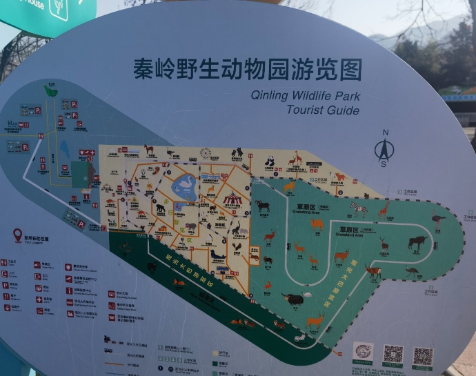 秦岭野生动物园游玩攻略